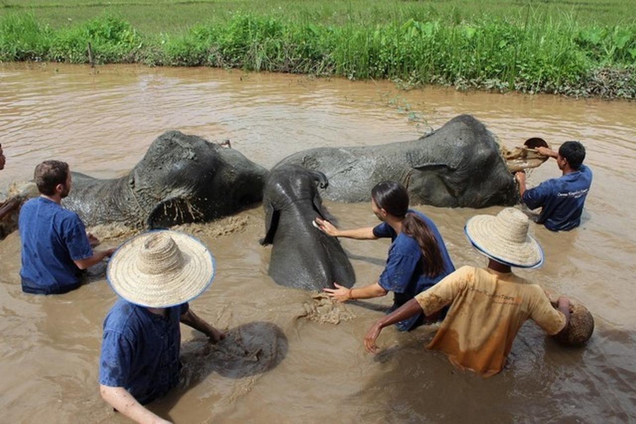 Kalaka Homestay Ban Ban San Sai Exteriér fotografie