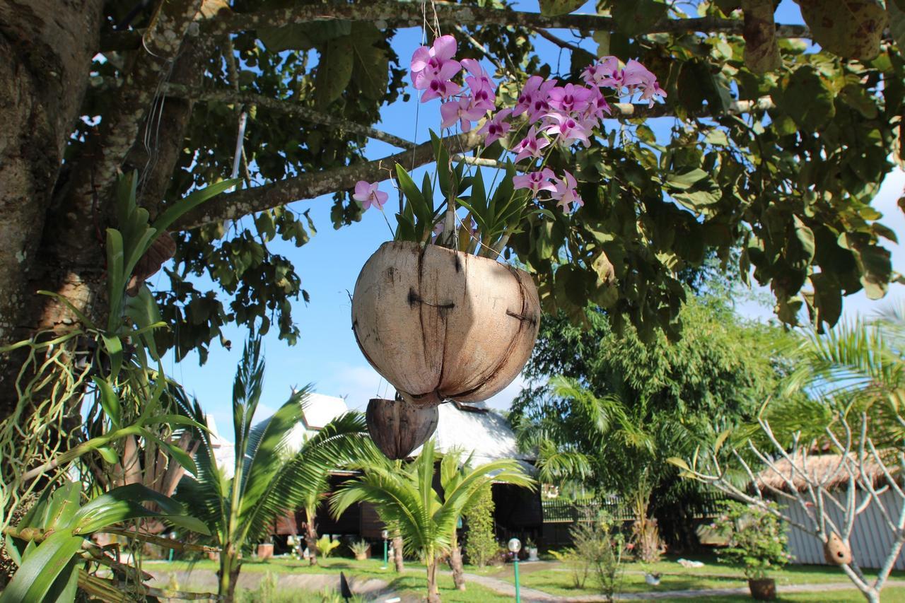Kalaka Homestay Ban Ban San Sai Exteriér fotografie