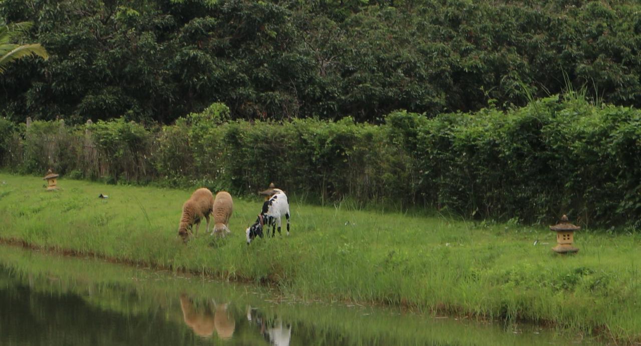 Kalaka Homestay Ban Ban San Sai Exteriér fotografie